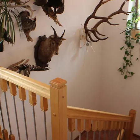 Maison d'hôtes Muntane *