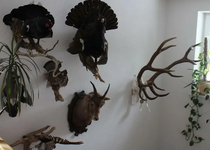 Maison d'hôtes Muntane