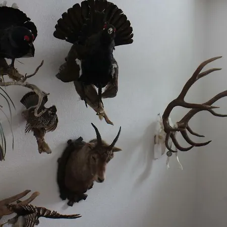 בית הארחה Muntane