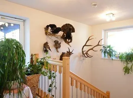 Muntane Guest house