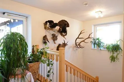 Muntane Casa de hóspedes